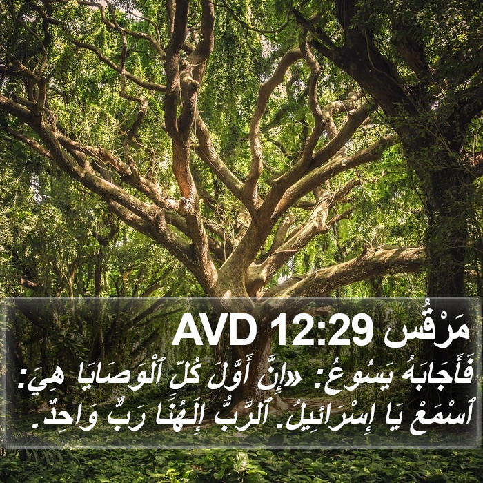 مَرْقُس 12:29 AVD Bible Study