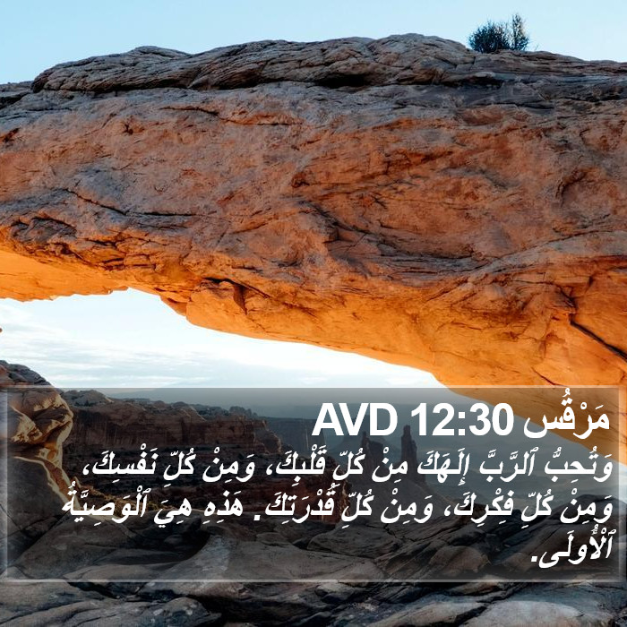 مَرْقُس 12:30 AVD Bible Study