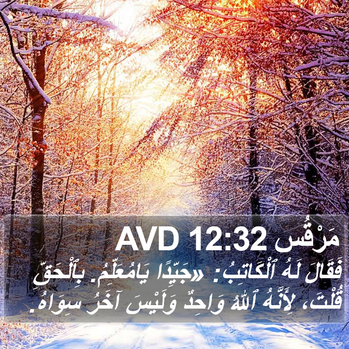 مَرْقُس 12:32 AVD Bible Study