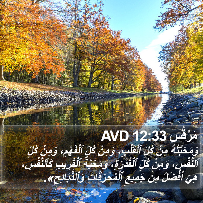 مَرْقُس 12:33 AVD Bible Study