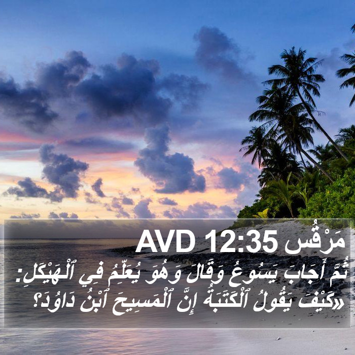 مَرْقُس 12:35 AVD Bible Study