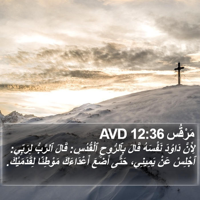 مَرْقُس 12:36 AVD Bible Study