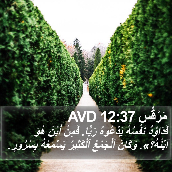 مَرْقُس 12:37 AVD Bible Study