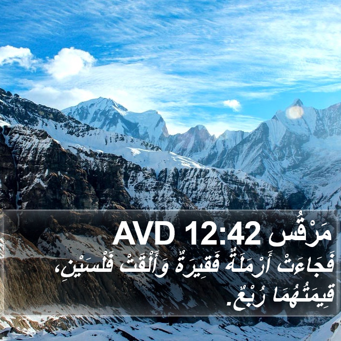 مَرْقُس 12:42 AVD Bible Study