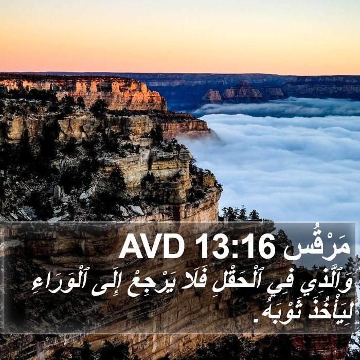 مَرْقُس 13:16 AVD Bible Study