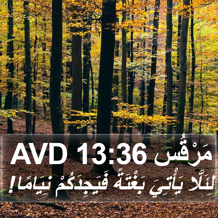 مَرْقُس 13:36 AVD Bible Study