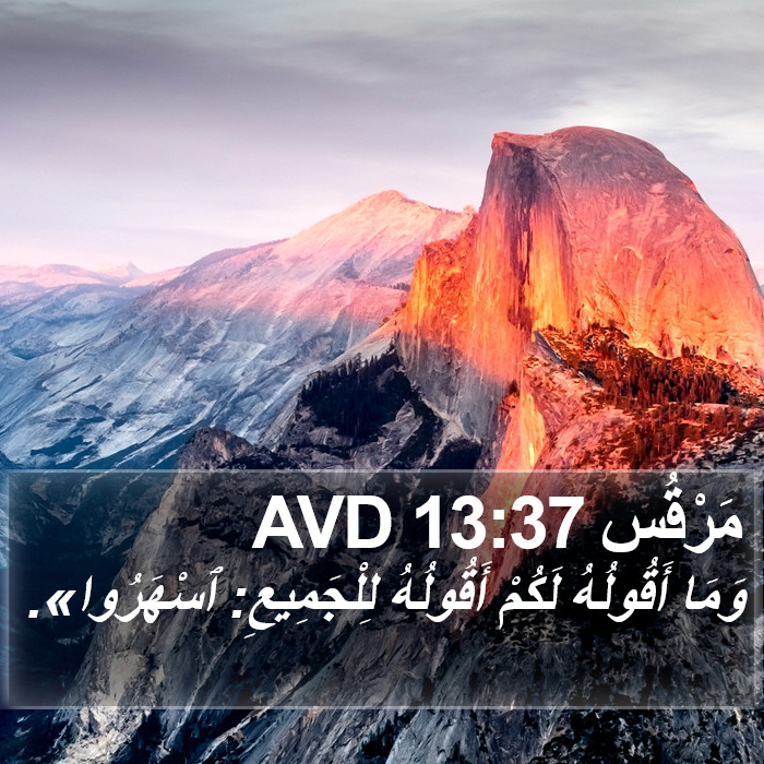 مَرْقُس 13:37 AVD Bible Study