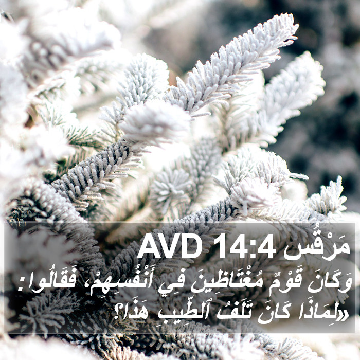مَرْقُس 14:4 AVD Bible Study