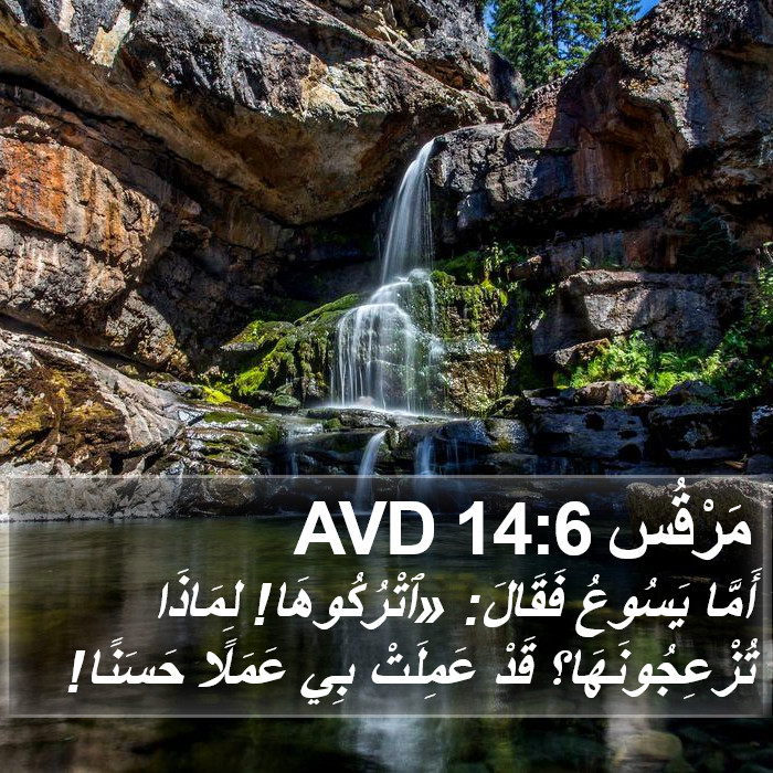 مَرْقُس 14:6 AVD Bible Study