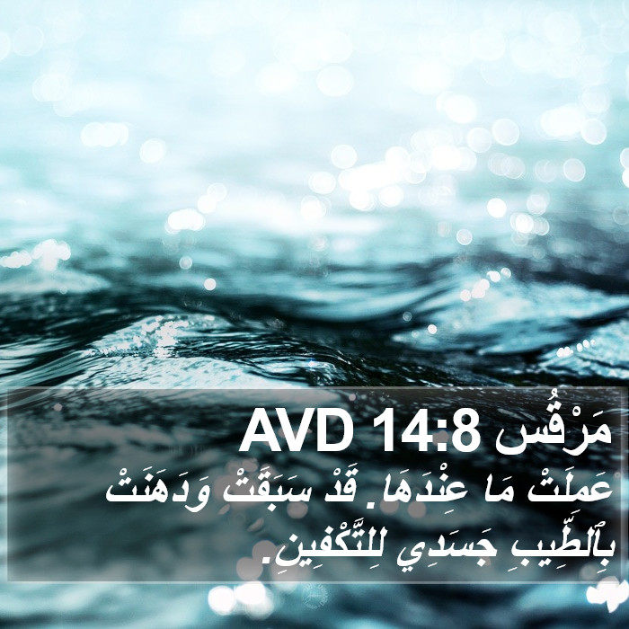 مَرْقُس 14:8 AVD Bible Study