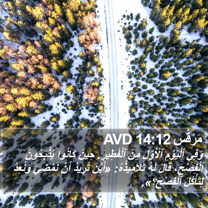 مَرْقُس 14:12 AVD Bible Study