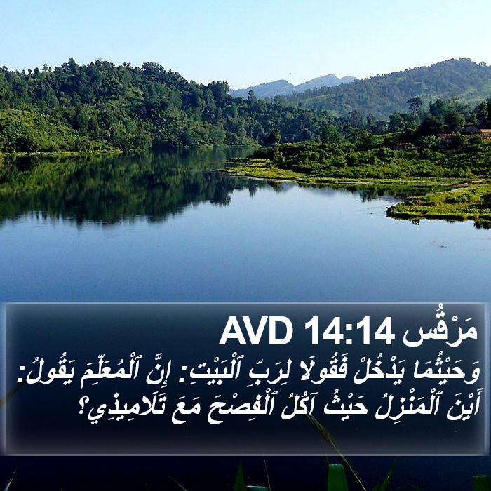 مَرْقُس 14:14 AVD Bible Study