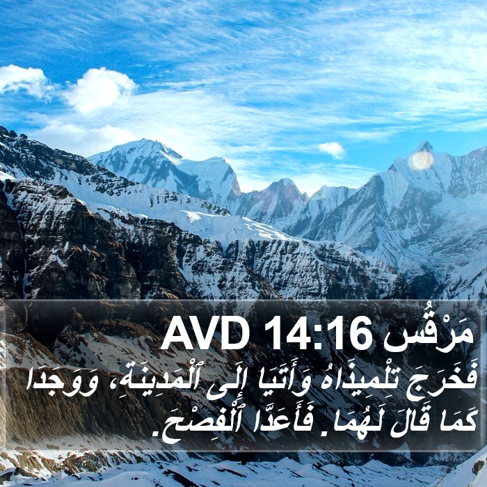 مَرْقُس 14:16 AVD Bible Study