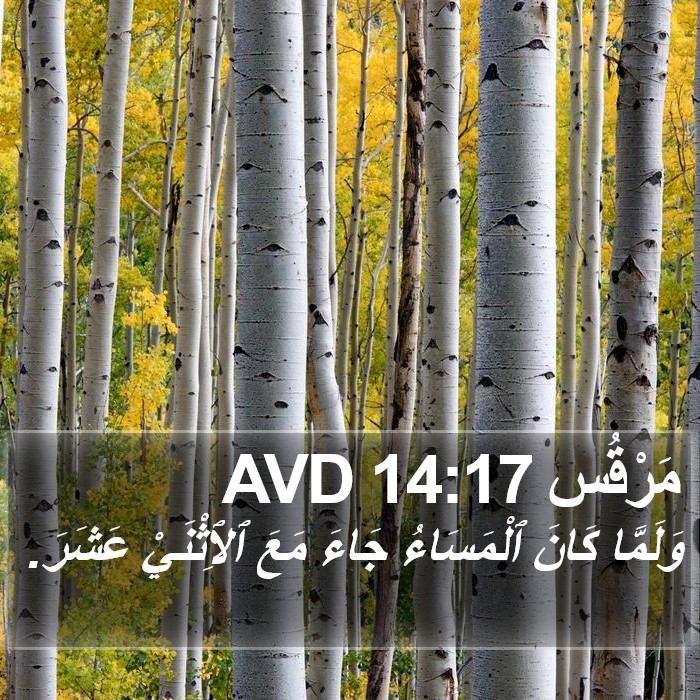 مَرْقُس 14:17 AVD Bible Study