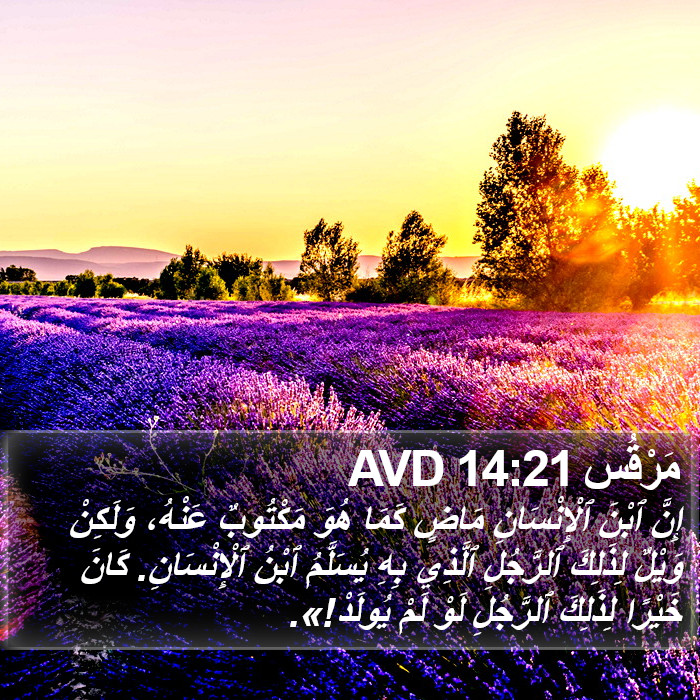 مَرْقُس 14:21 AVD Bible Study