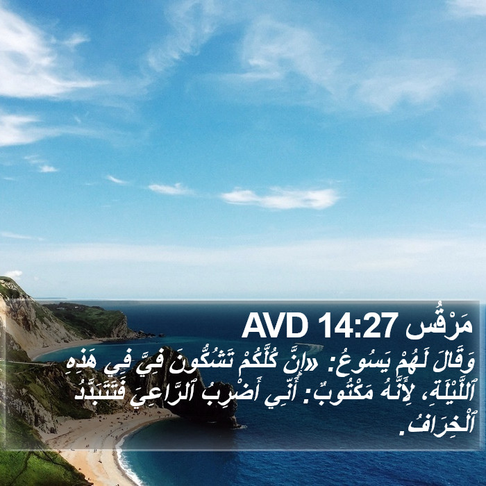 مَرْقُس 14:27 AVD Bible Study