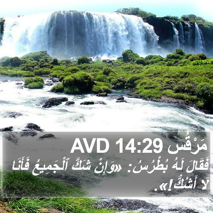 مَرْقُس 14:29 AVD Bible Study