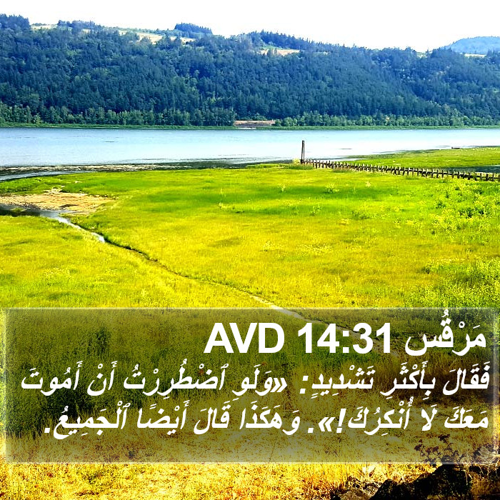 مَرْقُس 14:31 AVD Bible Study