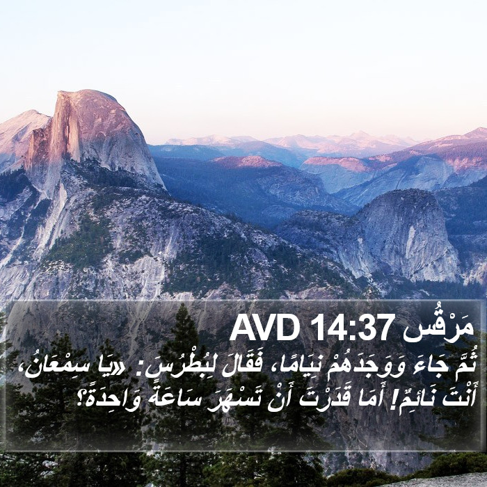 مَرْقُس 14:37 AVD Bible Study