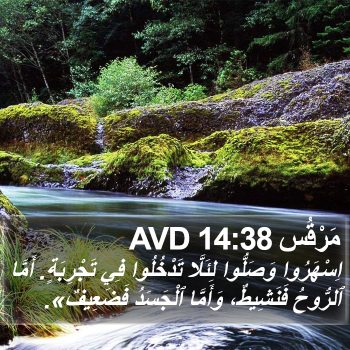 مَرْقُس 14:38 AVD Bible Study