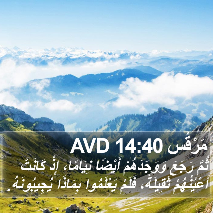 مَرْقُس 14:40 AVD Bible Study