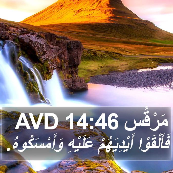 مَرْقُس 14:46 AVD Bible Study