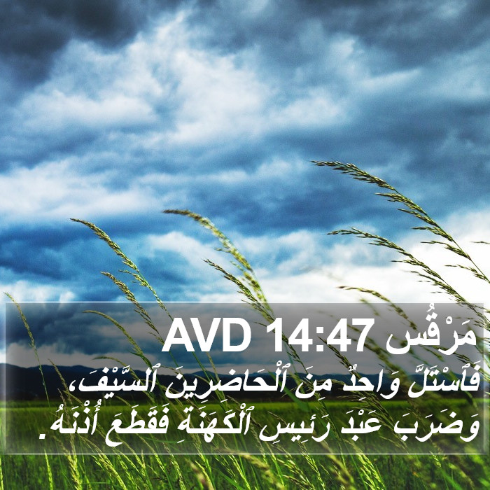 مَرْقُس 14:47 AVD Bible Study