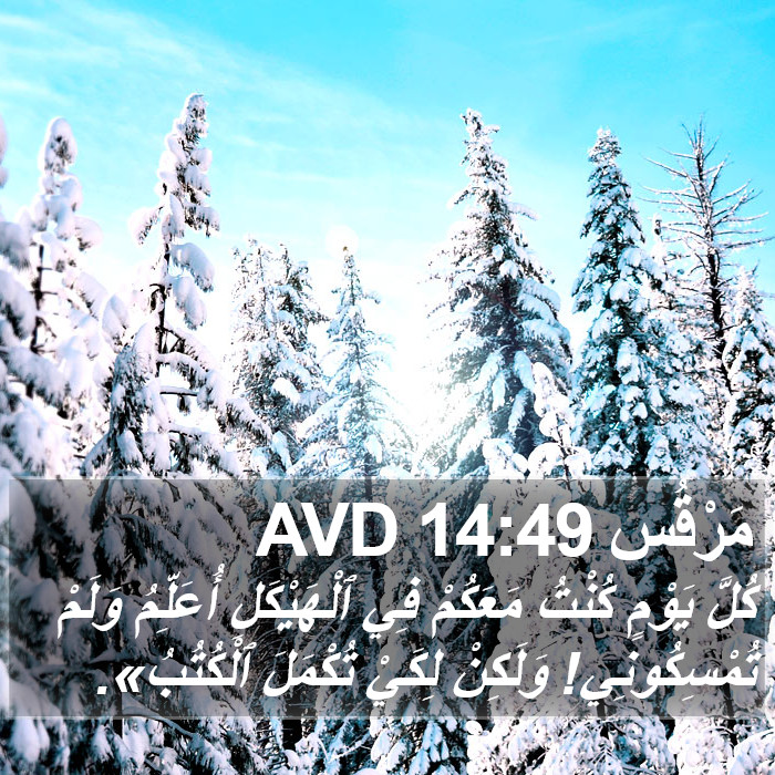 مَرْقُس 14:49 AVD Bible Study