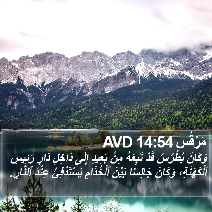 مَرْقُس 14:54 AVD Bible Study