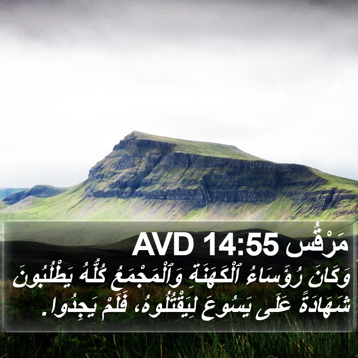مَرْقُس 14:55 AVD Bible Study