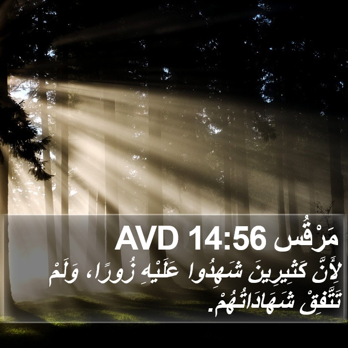 مَرْقُس 14:56 AVD Bible Study