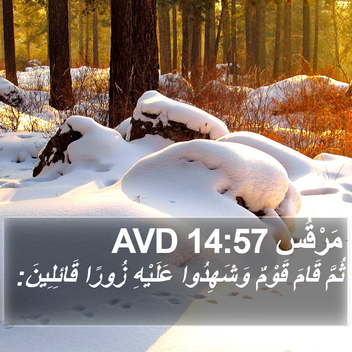 مَرْقُس 14:57 AVD Bible Study