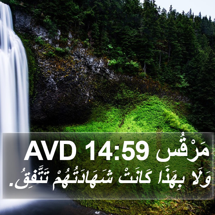 مَرْقُس 14:59 AVD Bible Study