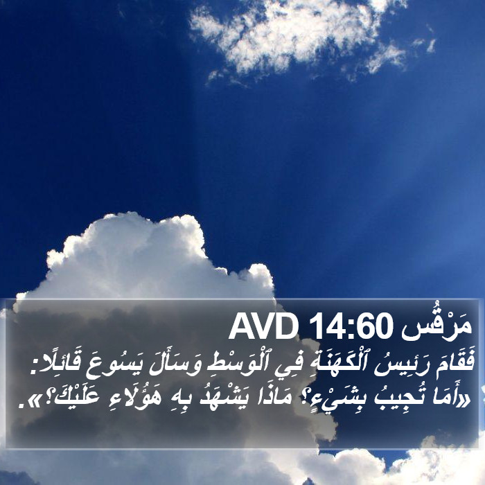 مَرْقُس 14:60 AVD Bible Study