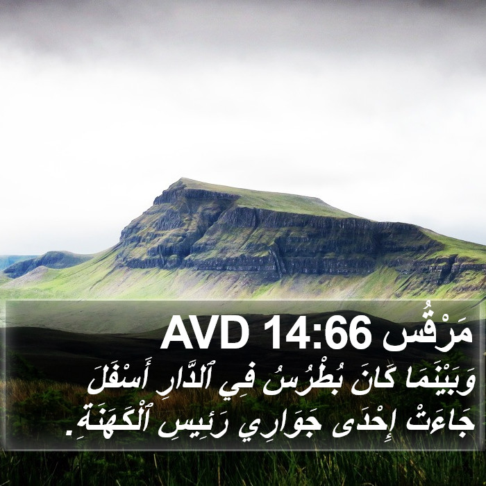 مَرْقُس 14:66 AVD Bible Study