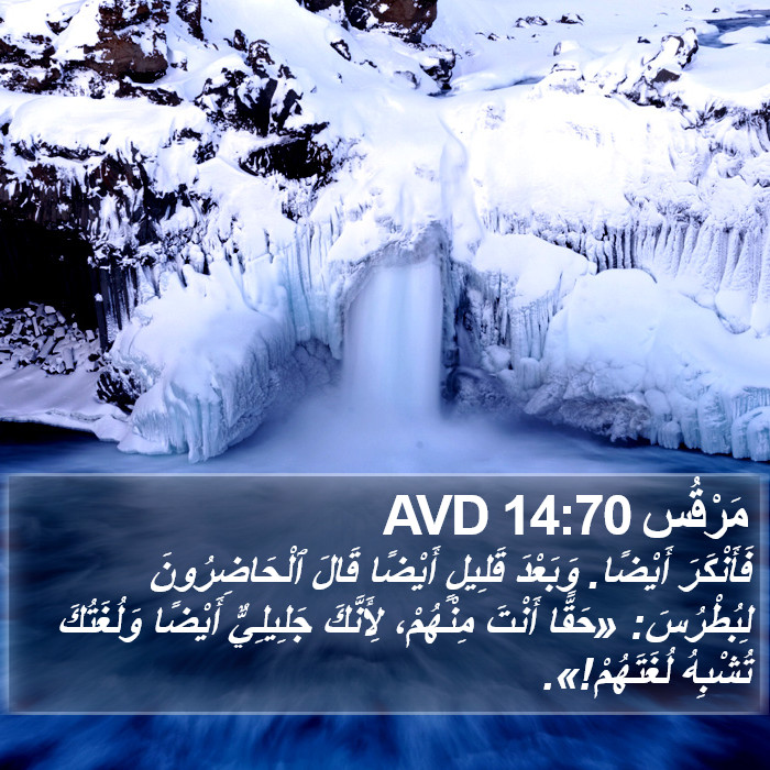 مَرْقُس 14:70 AVD Bible Study