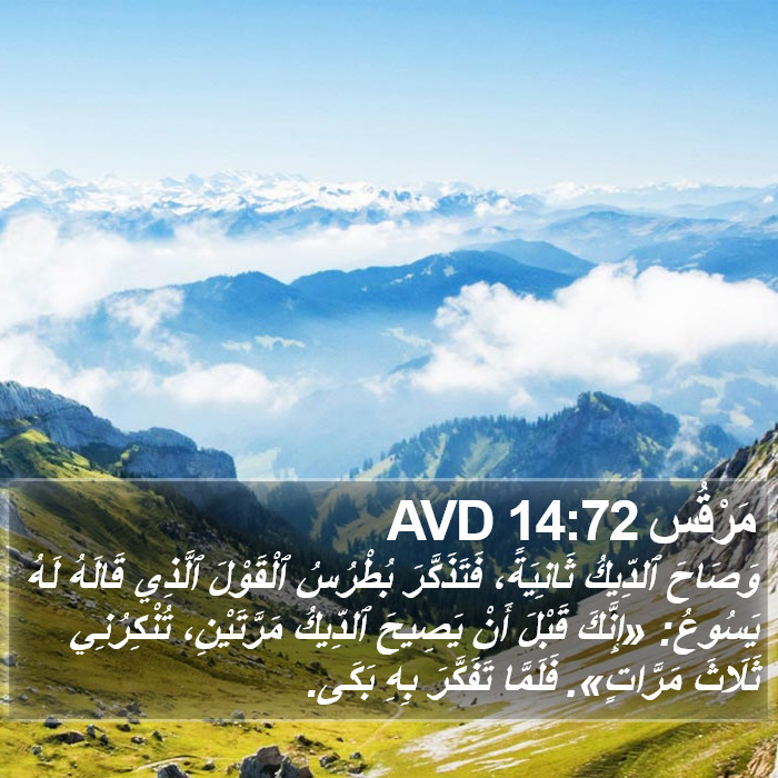 مَرْقُس 14:72 AVD Bible Study