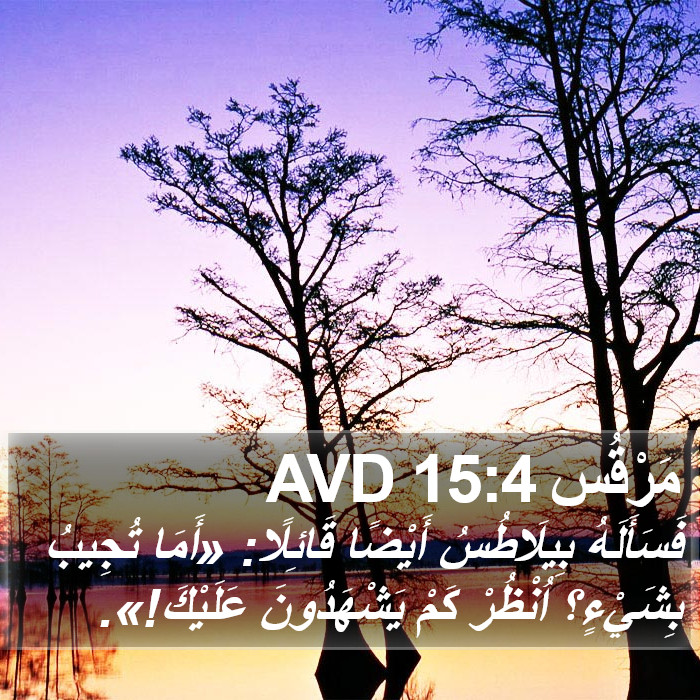 مَرْقُس 15:4 AVD Bible Study