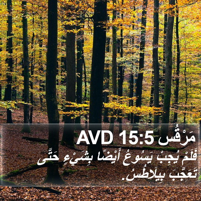 مَرْقُس 15:5 AVD Bible Study