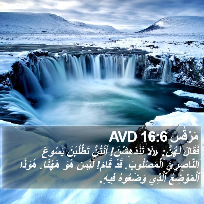 مَرْقُس 16:6 AVD Bible Study
