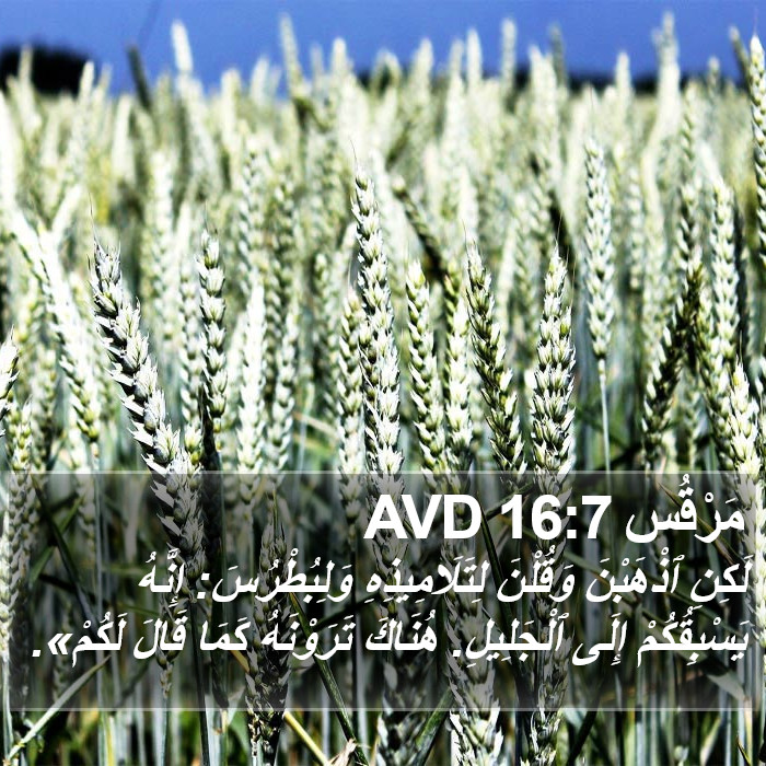 مَرْقُس 16:7 AVD Bible Study