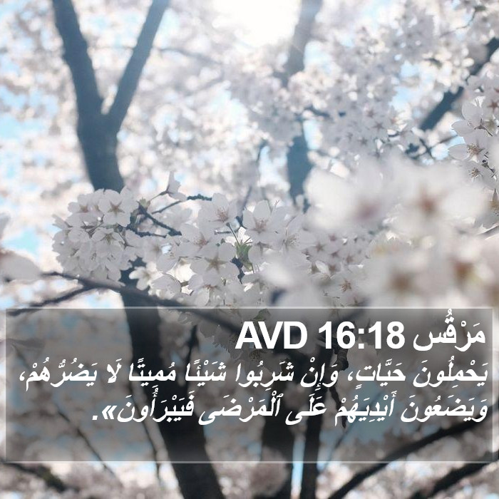 مَرْقُس 16:18 AVD Bible Study