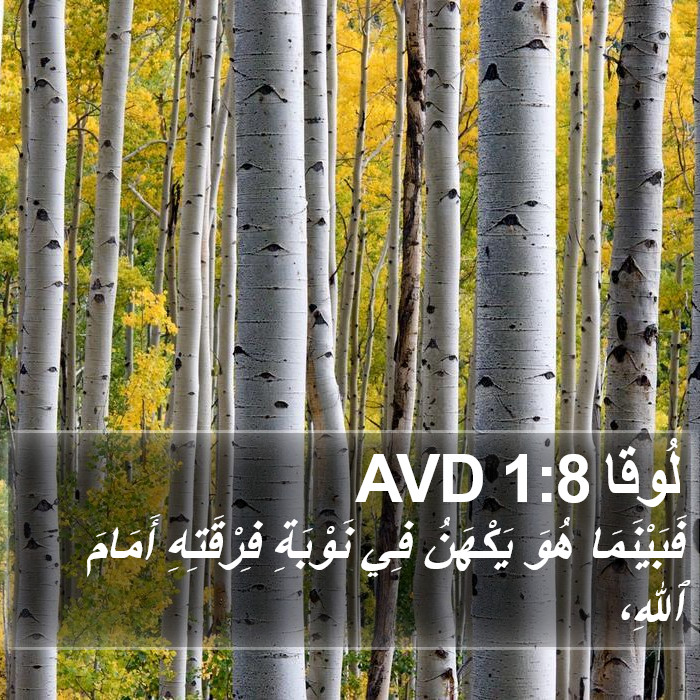 لُوقا 1:8 AVD Bible Study