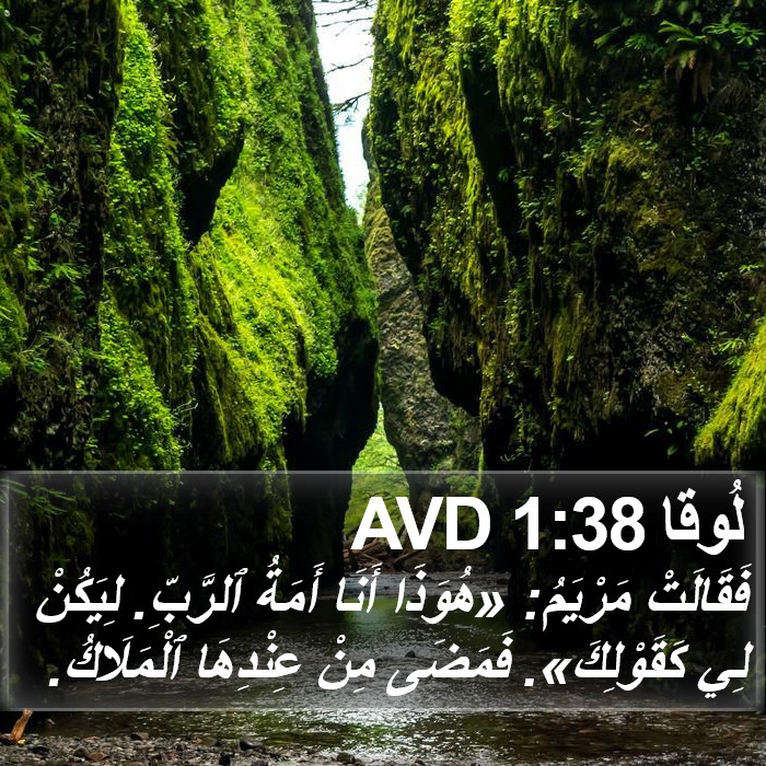 لُوقا 1:38 AVD Bible Study