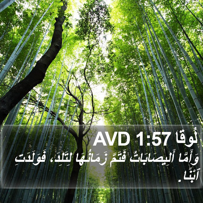 لُوقا 1:57 AVD Bible Study