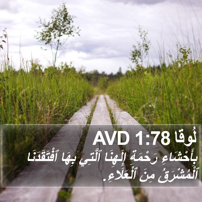 لُوقا 1:78 AVD Bible Study