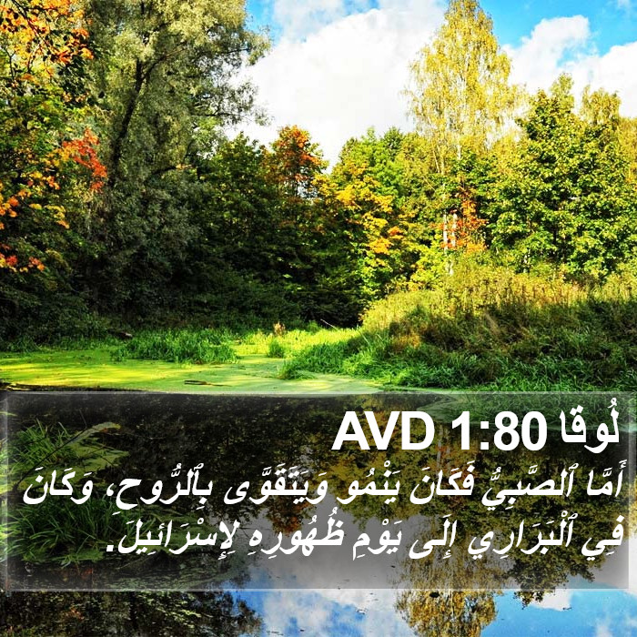 لُوقا 1:80 AVD Bible Study