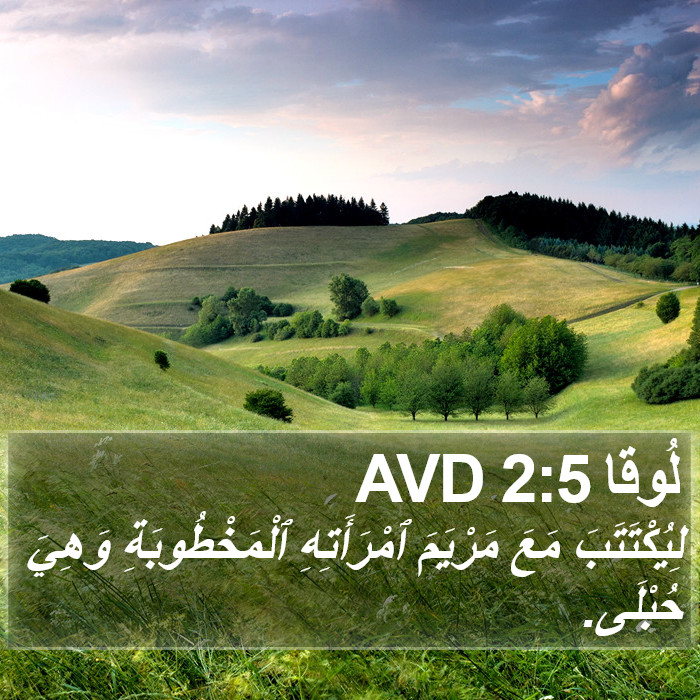لُوقا 2:5 AVD Bible Study