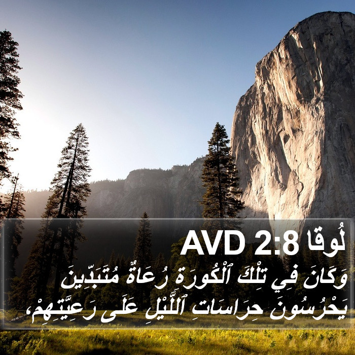 لُوقا 2:8 AVD Bible Study