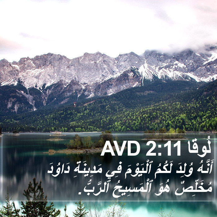 لُوقا 2:11 AVD Bible Study